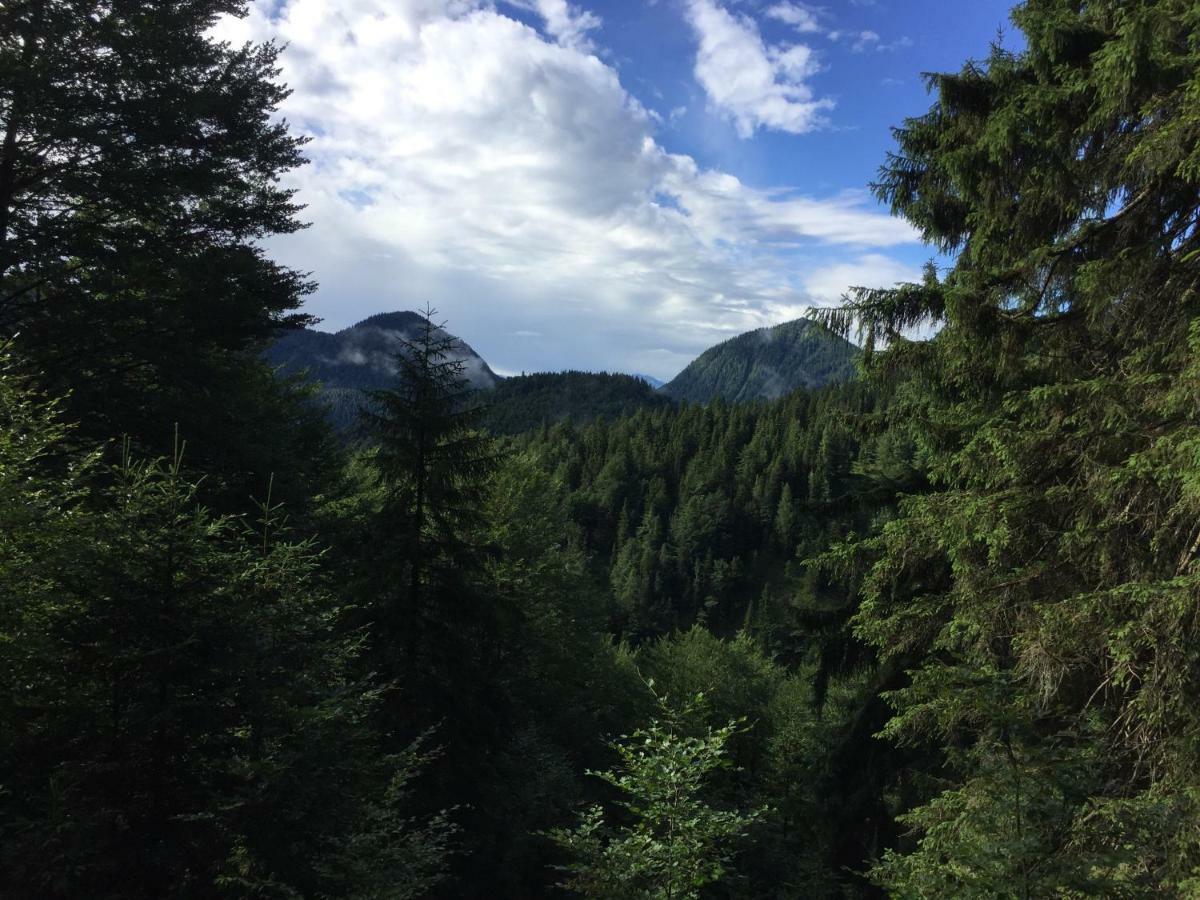Ferienwohnung Almflair Chalet Thiersee Zewnętrze zdjęcie