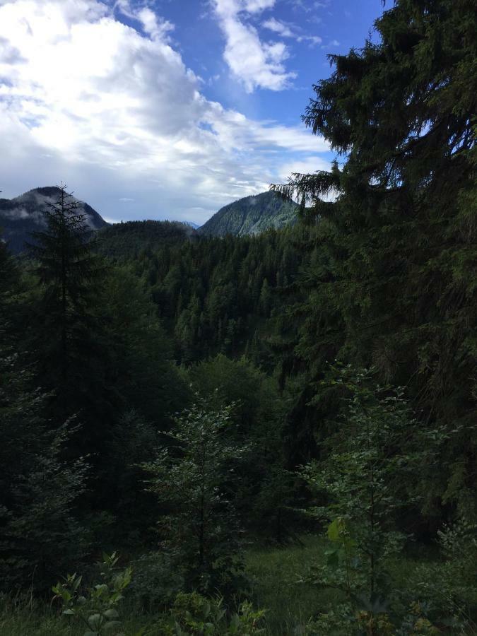 Ferienwohnung Almflair Chalet Thiersee Zewnętrze zdjęcie